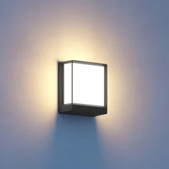 STEINEL L 40 C LED buitenwandlamp antraciet