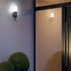 STEINEL L 620 Cam SC LED buitenwandlamp antraciet