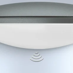 STEINEL L 825 SC buitenwandlamp met iHF-sensor