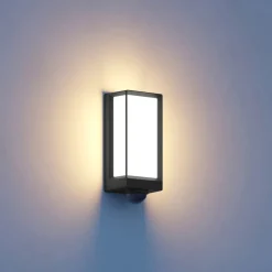 STEINEL L42 SC LED buiten wandlamp sensor antraciet