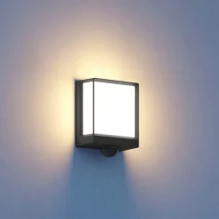 STEINEL L40 SC LED buitenwandlamp sensor antraciet