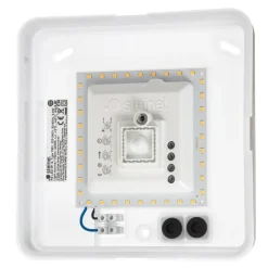 STEINEL RS M1V2LED wandlamp RVS geborsteld