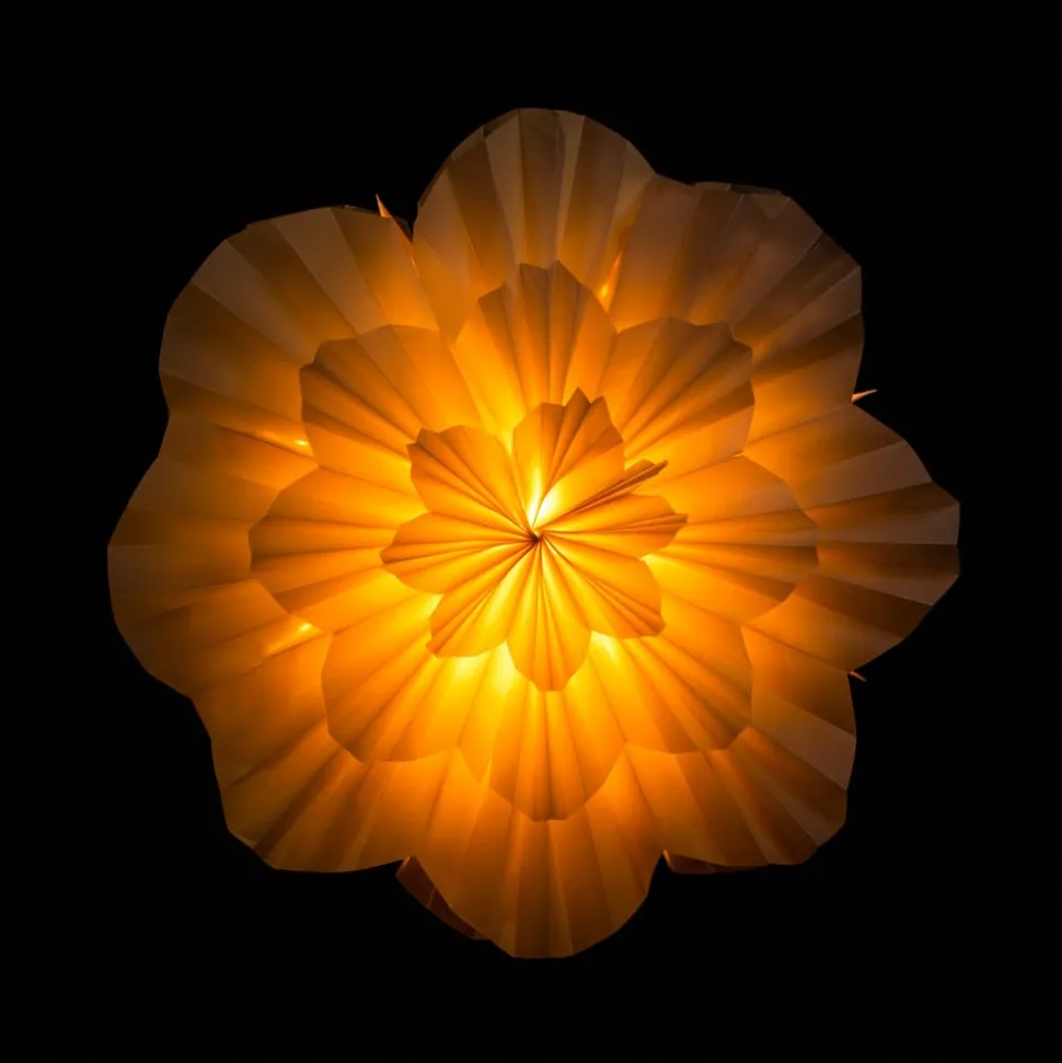 Sterntaler 2020 3D-papieren ster Ø 50 cm wit