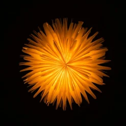 Sterntaler 2021 3D-papieren ster Ø 45 cm wit