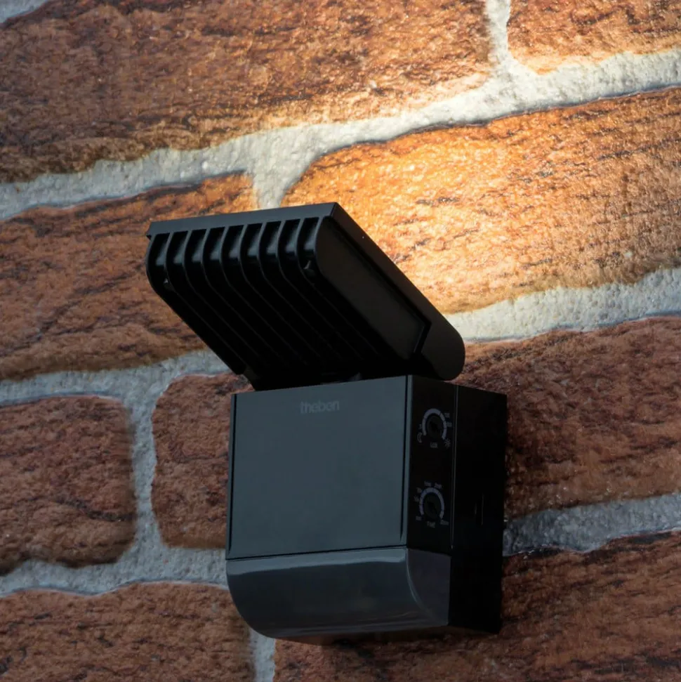 Theben LED buiten wandlamp theLeda S8-100, zwart, sensor