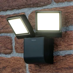 Theben LED buiten wandlamp theLeda S17-100L, zwart, 2-lamps