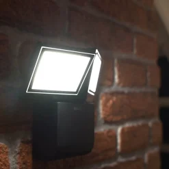 Theben LED buiten wandlamp theLeda S17-100L, zwart, 2-lamps