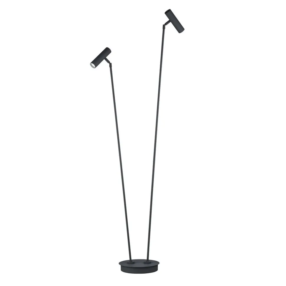 Tom Pro LED vloerlamp, zwart, 2-lamps, CCT, dimmer