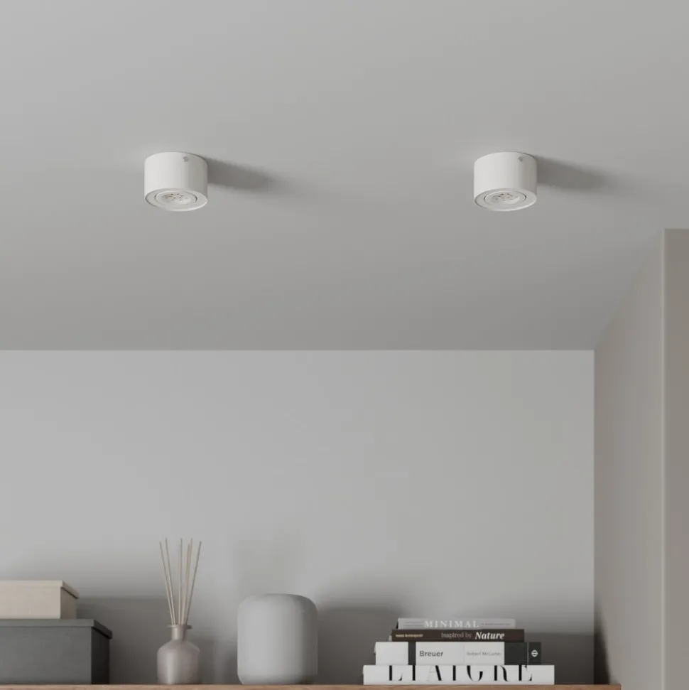 Tube LED plafondspot, wit