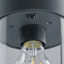 Tuinpadverlichting Sambesi met schemersensor 60cm