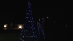 Twinkly lichtboom voor buiten, RGBW, hoogte 200cm
