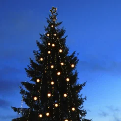 Uitbreidingskabel ring met 5 aansl., System 24