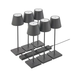 USB-C oplaadstation voor Nuindie batterijverlichting, 6-voudig