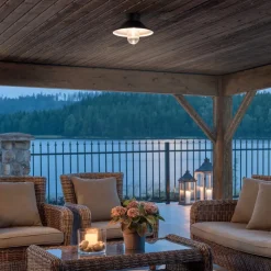 Vega LED plafondlamp, buiten, zwart, Ø 30 cm