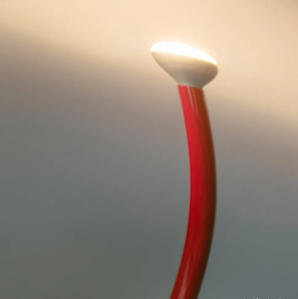 Vloerlamp FLOS Luminator, rood, hoogte 189 cm, metaal