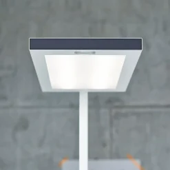 Vloerlamp Lavigo DPS 14000/VTL/R/G2 3000-6500K