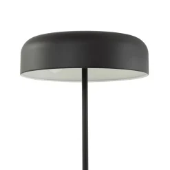 Vloerlamp Lindby Edion, zwart, metaal