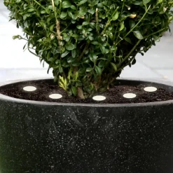 Vloerlamp Spinetoli 2, SetE van 6 met grondspies