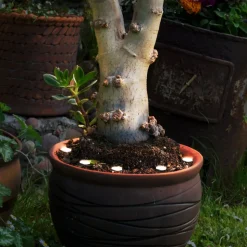 Vloerlamp Spinetoli 2, SetE van 6 met grondspies