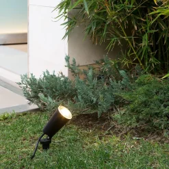 Wand- en prikspot in één - Toni