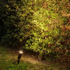 Wand- en prikspot in één - Toni