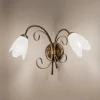 Wandlamp Odino, 2-lamps, bronskleurig, metaal, glas