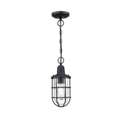 Westinghouse Crestview buiten hanglamp, kooi