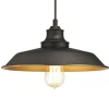 Westinghouse hanglamp Iron Hill, zwart, 1-lamps