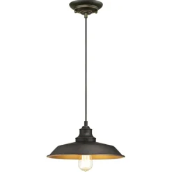 Westinghouse hanglamp Iron Hill, zwart, 1-lamps