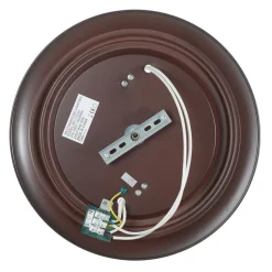 Westinghouse Harwell plafondlamp, brons