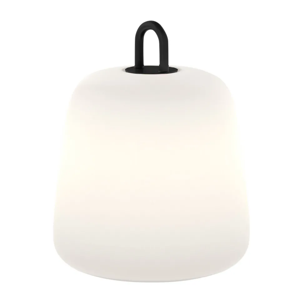 WEVER & DUCRÉ Costa 2.0 LED decoratieve lamp opaal/zwart