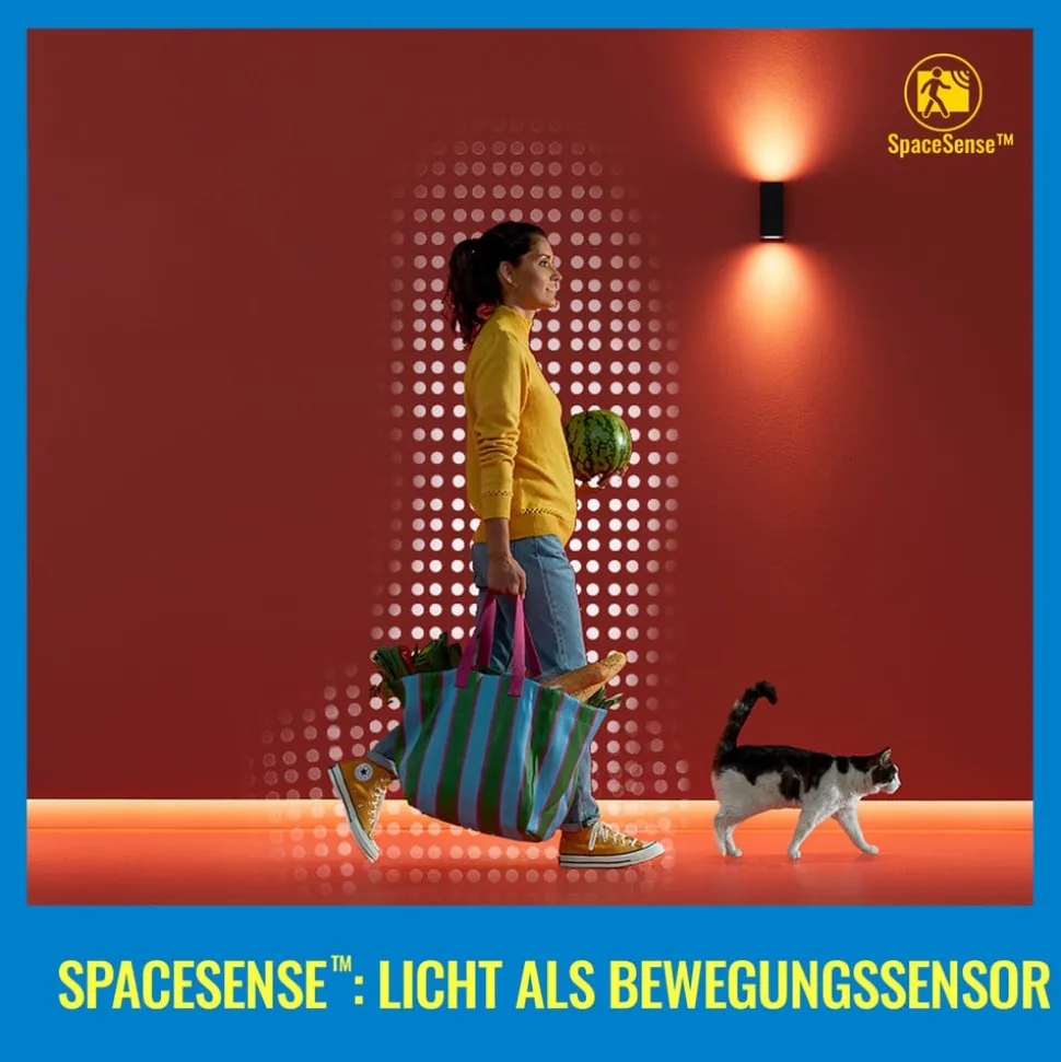 WiZ A60 LED lamp mat WiFi E27 8,5W RGBW set van 2