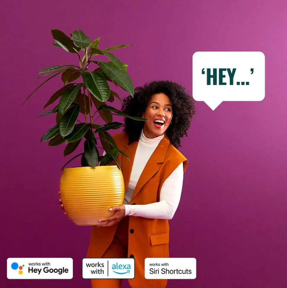 WiZ Elpas LED tuinpadverlichting RGBW start-set