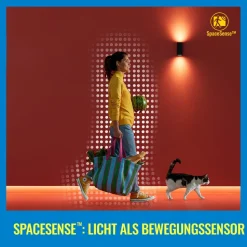 WiZ G95 LED filament lamp Globe WiFi E27 6,3W RGBW