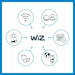 WiZ G95 LED filament lamp Globe WiFi E27 6,3W RGBW