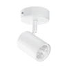 WiZ Imageo LED spot 1-lamp 2.700-6.500 K, wit