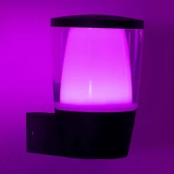 WiZ LED buitenwandlamp Elpas RGBW, zwart