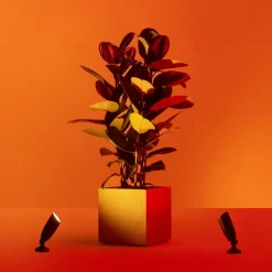 WiZ LED spot Ground starter-kit dubbelpak