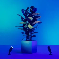 WiZ LED spot Ground starter-kit dubbelpak