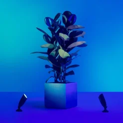 WiZ LED spot Ground uitbreiding enkelpak