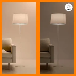 WiZ P45 LED lamp E27 4,9 W druppel gesatineerd RGBW