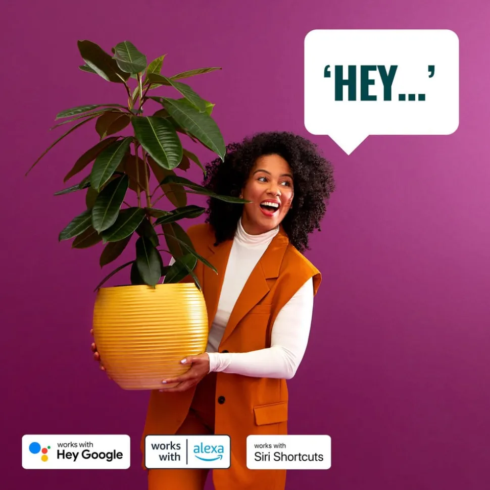 WiZ Squire LED tafellamp, RGBW, draagbaar