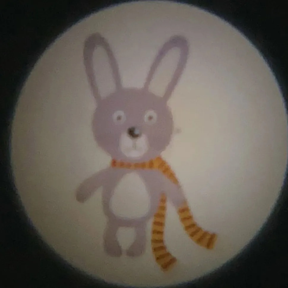 Zakprojector bosdieren 6-voudig batterijvoeding