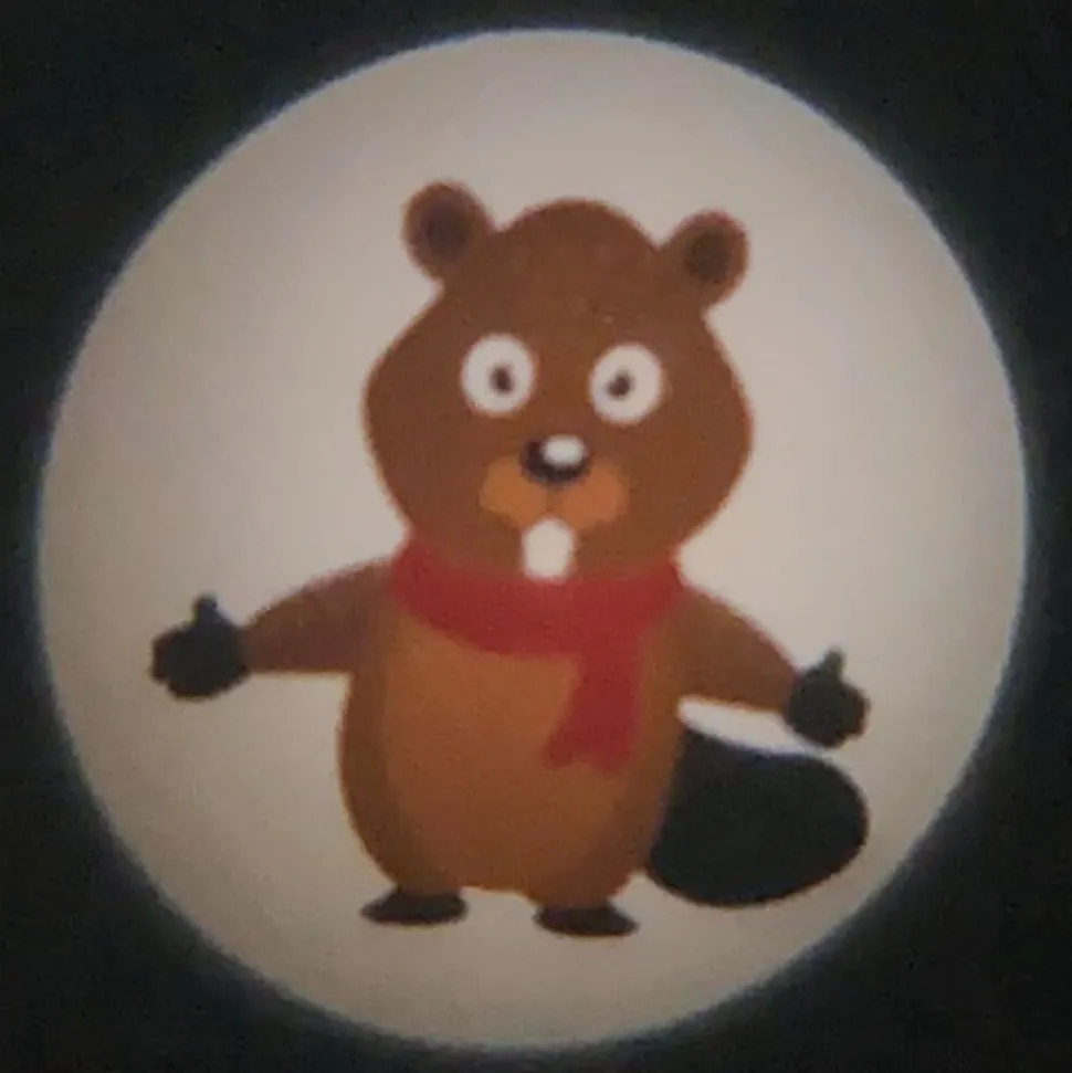 Zakprojector bosdieren 6-voudig batterijvoeding