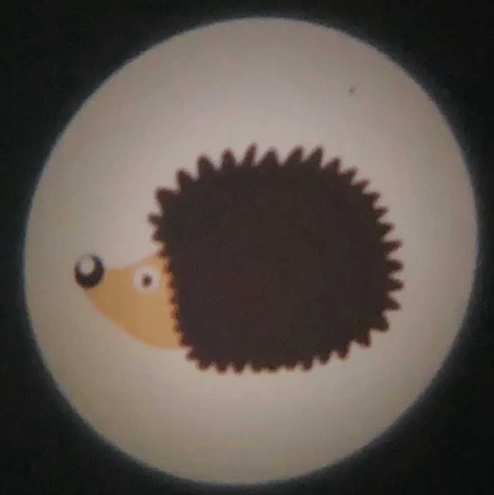 Zakprojector bosdieren 6-voudig batterijvoeding