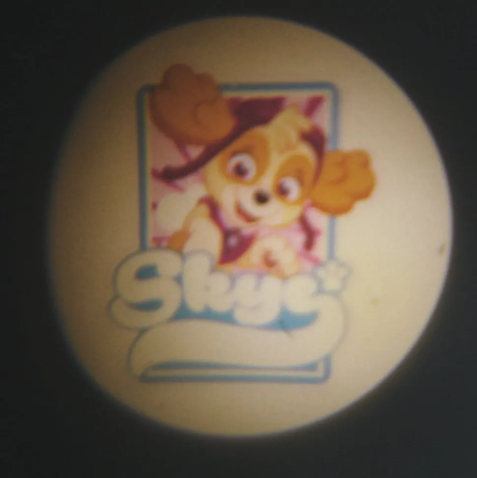 Zakprojector Paw Patrol 6-voudig batterijvoeding