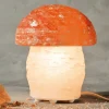 Zoutlamp paddenstoel