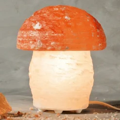 Zoutlamp paddenstoel