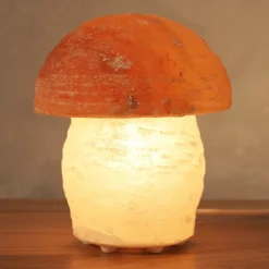 Zoutlamp paddenstoel