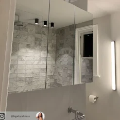 Zwarte plafondlamp Carson